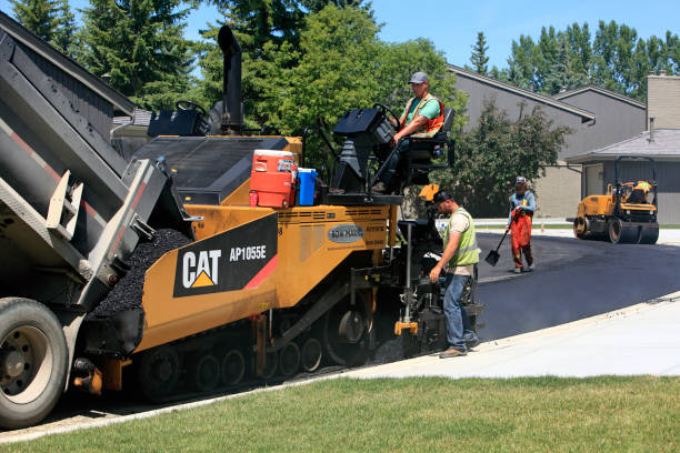 Best Custom Driveway Pavers  in Pleasant Ridge, MI